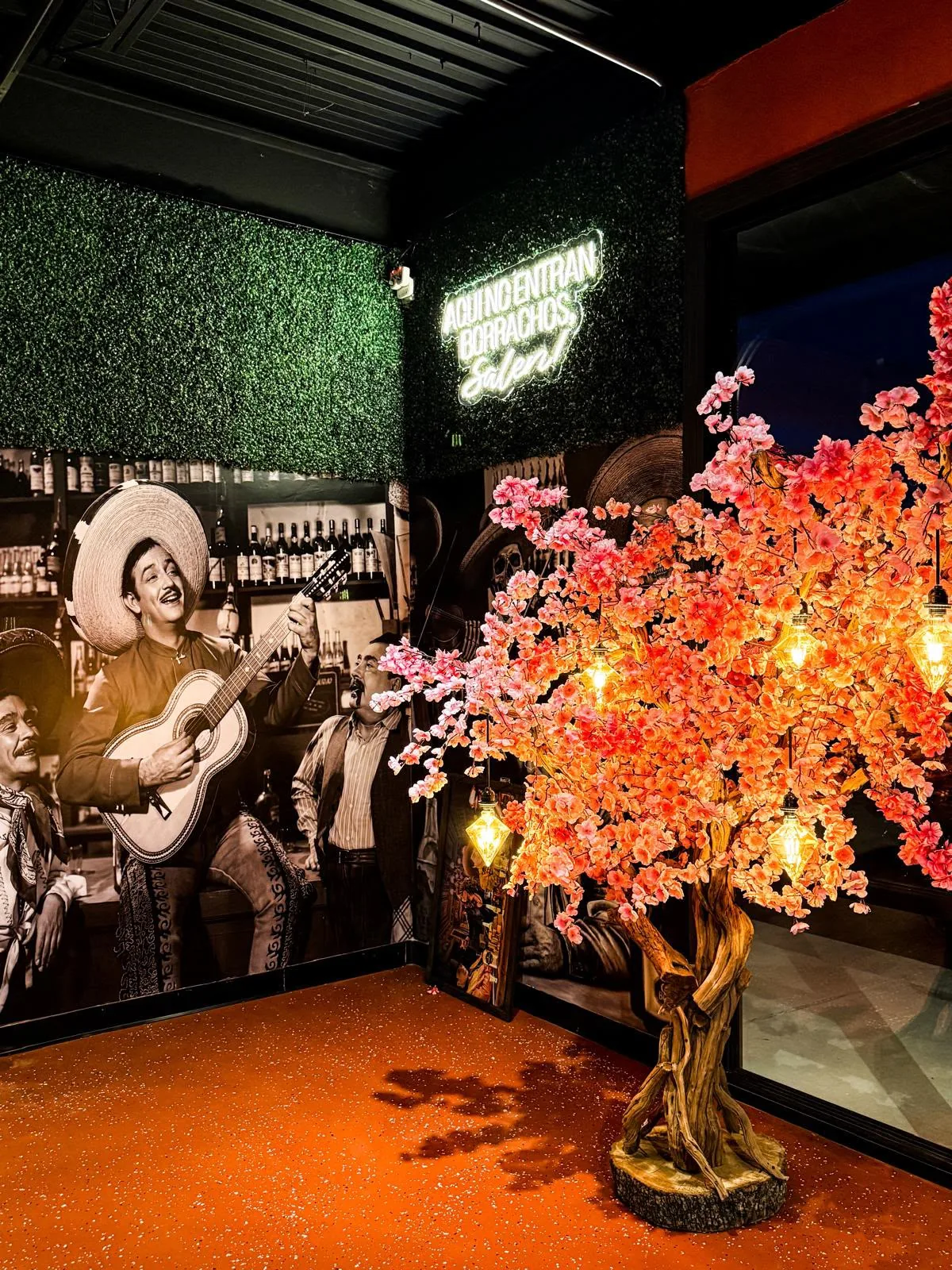 Illuminated blossom tree and mariachi mural inside Jalapeños on 50th Street